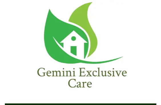 Gemini Exclusive Care - A company logo
