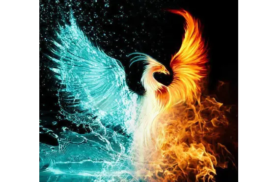 Aphoenix Care - A company logo