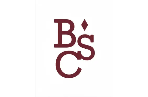 Bespoke Specialist Care Ltd - A company logo