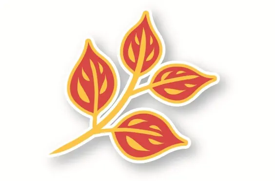 Blackley Premier Care - outside view of care home