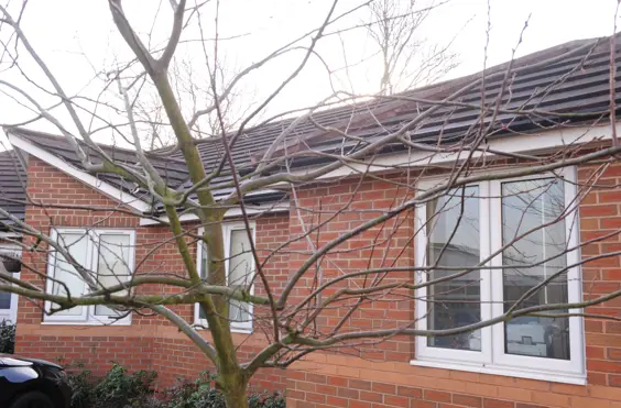 53a Ipstones Avenue - outside view of care home