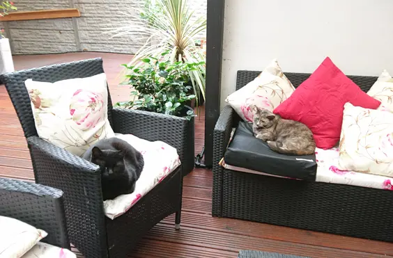 Lavender Lodge Nursing Home - outside view of care home