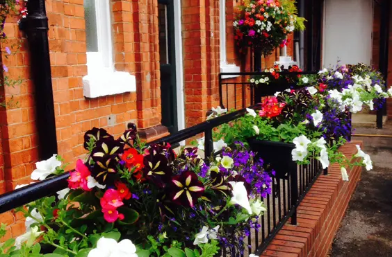 Holly Tree Lodge Care Home - outside view of care home