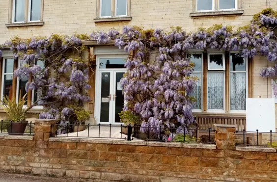 Wisteria House Residential Home - Rutland - outside view of care home