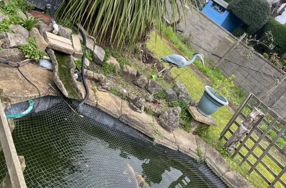 Gable Lodge - Photo of the garden where applicable