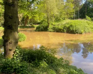 Woodcote Hall - outside view of care home