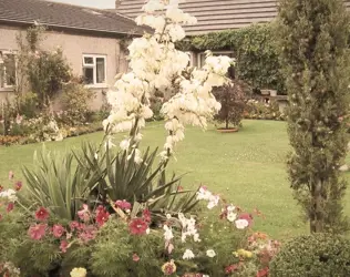 Eden Cottage Care Home - outside view of care home