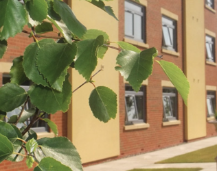 London and Manchester Healthcare Limited - outside view of care home