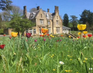 Broadwindsor House - outside view of care home