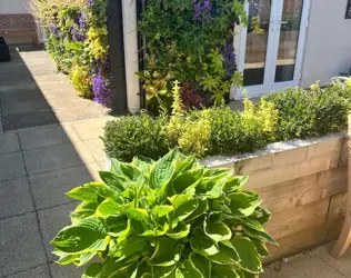 Blossom House - outside view of care home