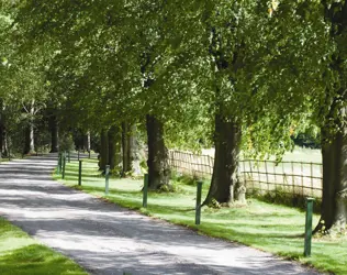 Scalford Court Care Home - outside view of care home