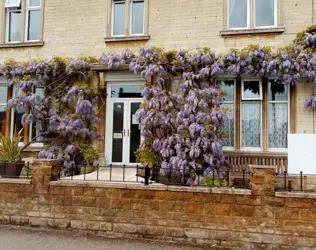 Wisteria House Residential Home - Rutland - outside view of care home