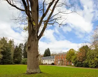 Burlingham House - outside view of care home