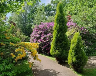 Hazeldene House - outside view of care home