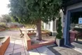 Photo of the garden where applicable