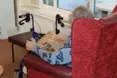 An additional photo of the care home