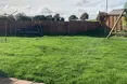 Photo of the garden where applicable