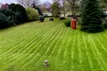 Photo of the garden where applicable