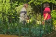 Photo of the garden where applicable