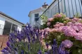Dene Court Care Home - An outside view of the home