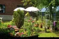 Photo of the garden where applicable