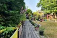 Photo of the garden where applicable