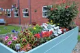 Photo of the garden where applicable