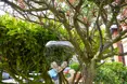 Photo of the garden where applicable