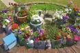 Photo of the garden where applicable