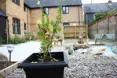 Photo of the garden where applicable