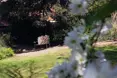 An additional photo