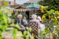 Hazelwell Lodge - Photo of the garden where applicable