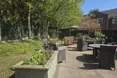 Photo of the garden where applicable