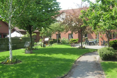 Photo of the garden where applicable