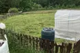 Photo of the garden where applicable