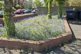 Photo of the garden where applicable