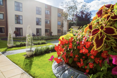 The outside view of home and search result image