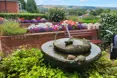Photo of the garden where applicable