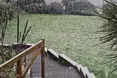 Photo of the garden where applicable