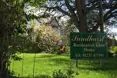 Photo of the garden where applicable