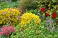 Photo of the garden where applicable