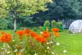 Photo of the garden where applicable