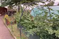 Kerwin Court - Photo of the garden where applicable