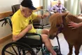 An additional photo of the care home