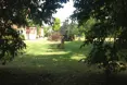 An additional photo