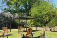 Photo of the garden where applicable