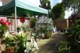 Photo of the garden where applicable