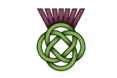 Celtic Care Services Limited - logo